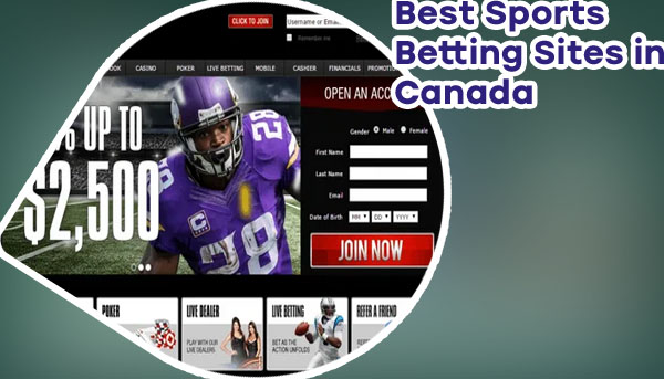Best canadian sportsbooks