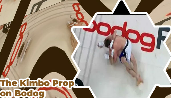 Bodog mma