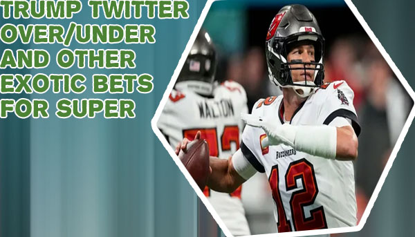 Odds shark super bowl