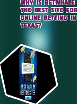 Safest betting site
